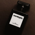 Raspberry Oud | Insp. Ombre Nomad